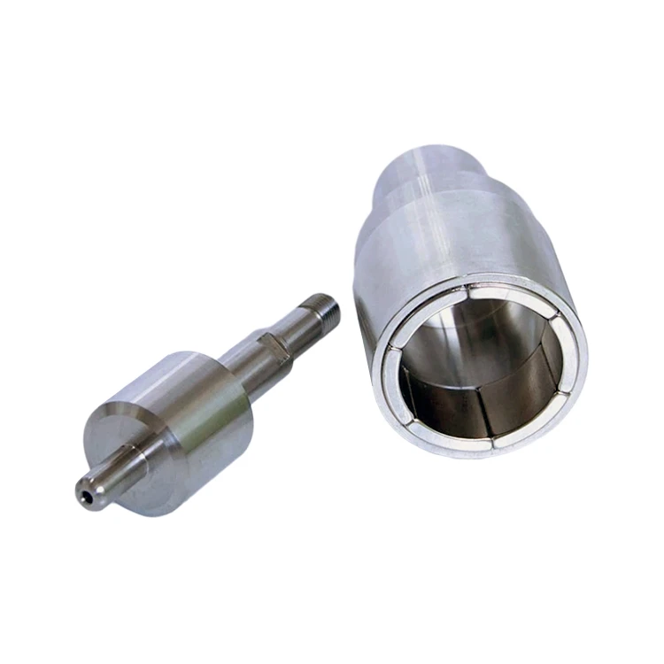 Permanent Magnetic Assembly